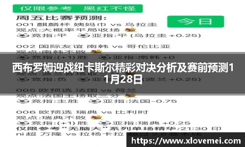 西布罗姆迎战纽卡斯尔精彩对决分析及赛前预测11月28日